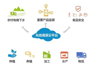 農(nóng)場(chǎng)追溯系統(tǒng)與電子商務(wù)平臺(tái)融合的技術(shù)開(kāi)發(fā)解決方案